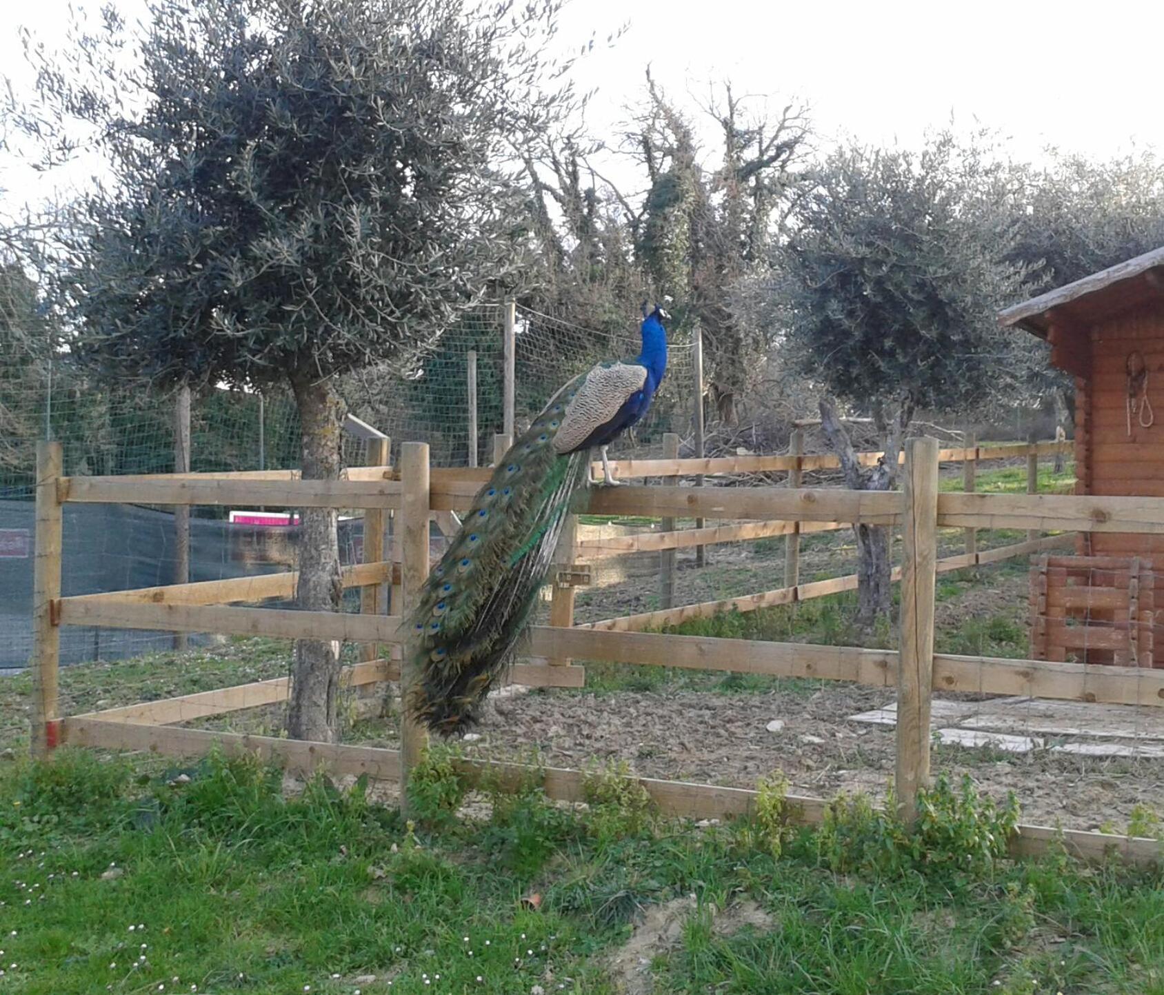 Garden Village Сан Марино Екстериор снимка